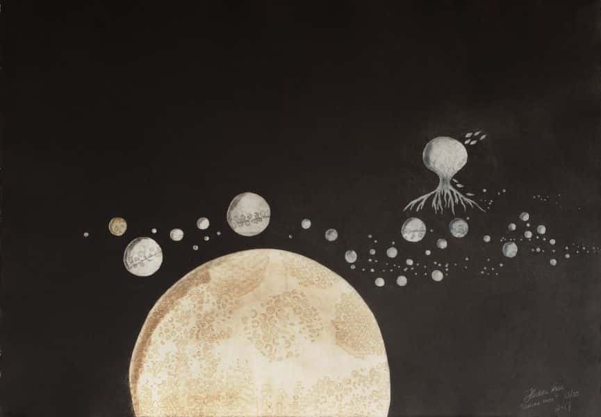 Coming Home av Hedda Kise