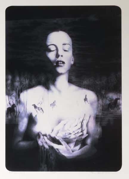 Drømmen av Tone Dietrichson